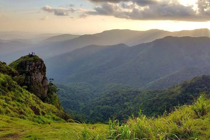 The Heritage Home Kasauli I Pine View Serviced Villa I Best Seller I Vacations I Family Events I Sky Bonfire I Kasauli By Exotic Stays Ngoại thất bức ảnh