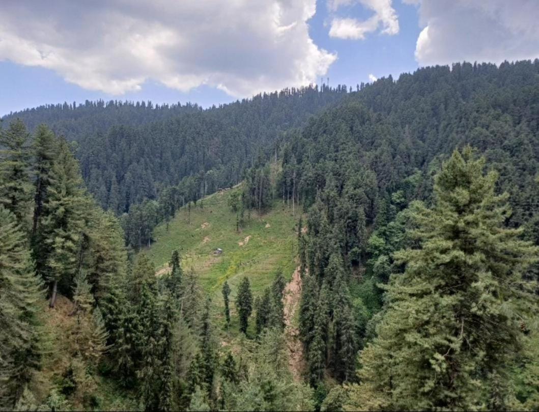 The Heritage Home Kasauli I Pine View Serviced Villa I Best Seller I Vacations I Family Events I Sky Bonfire I Kasauli By Exotic Stays Ngoại thất bức ảnh